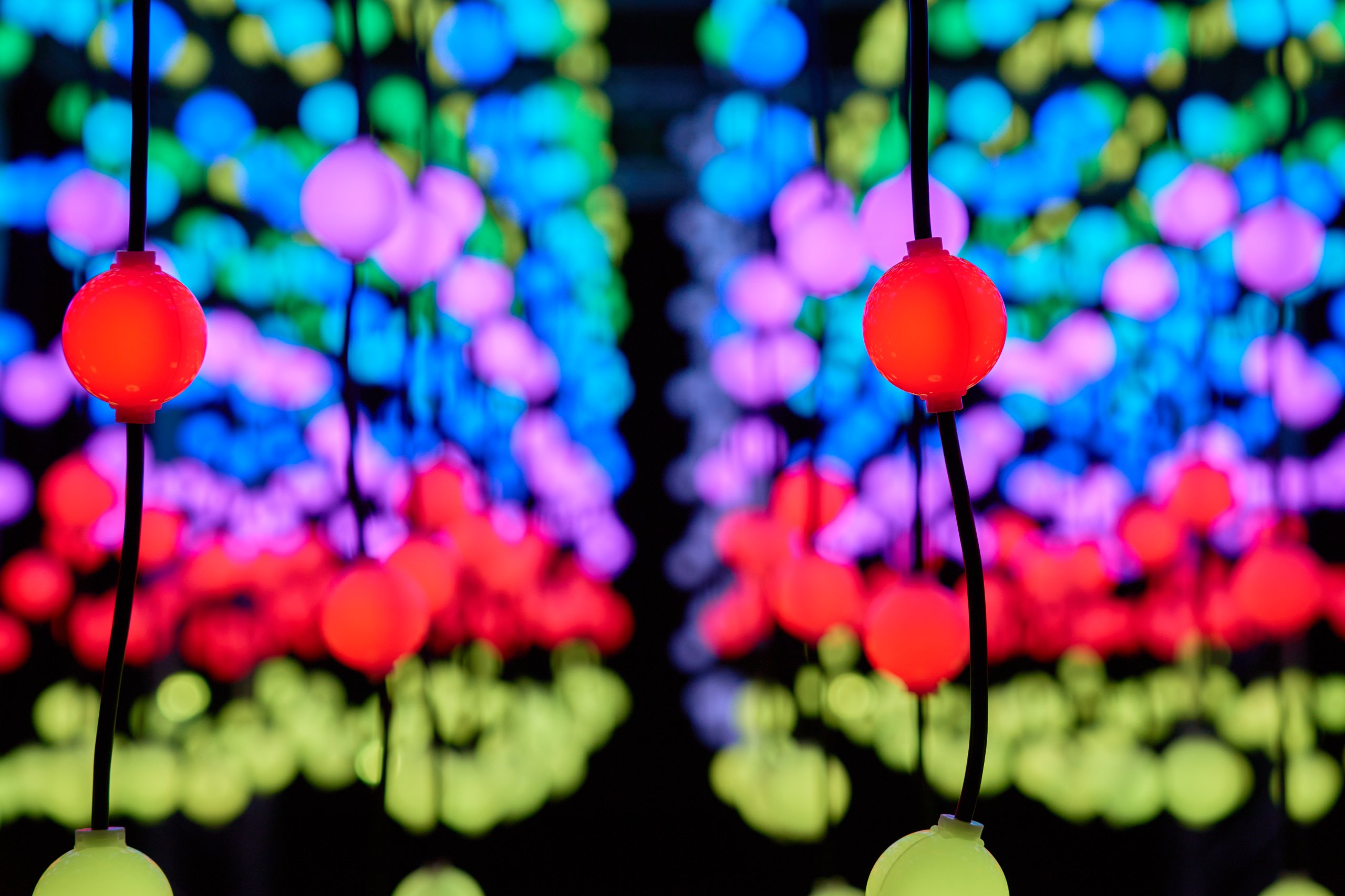 2026 02 03 Parkleuchten 0178